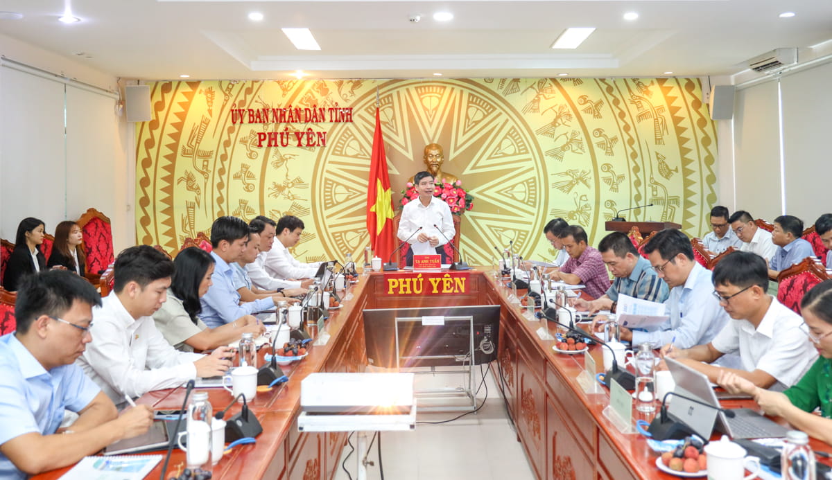 Mr. Ta Anh Tuan, Deputy Secretary of the Provincial Party Committee and Chairman of the People's Committee of Phu Yen, delivered a speech at the meeting.